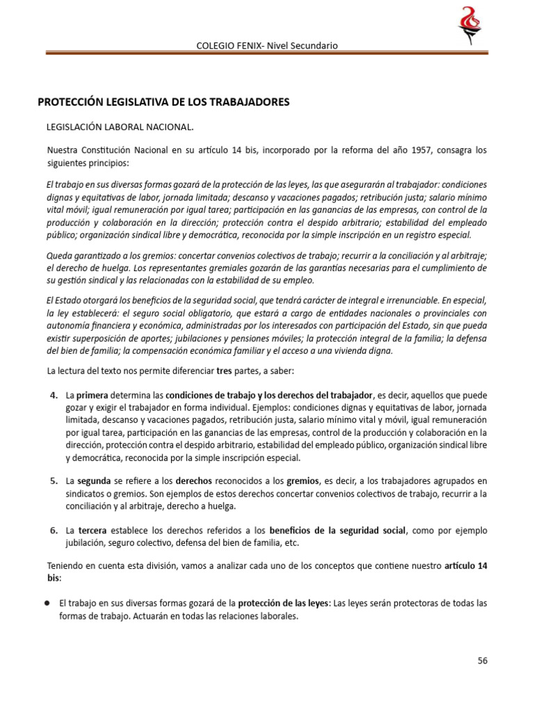 Protección Laboral en Argentina: Leyes Clave | PDF | Derecho laboral ...