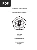 Download Laporan Praktek Kerja Lapangan by Dian Acha Farhani SN87448486 doc pdf