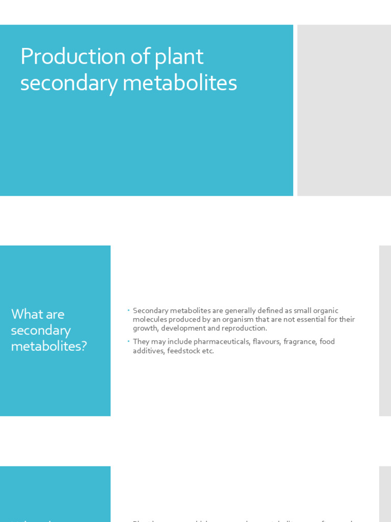 Production of Plant Secondary Metabolites. | PDF | Plants | Life Sciences