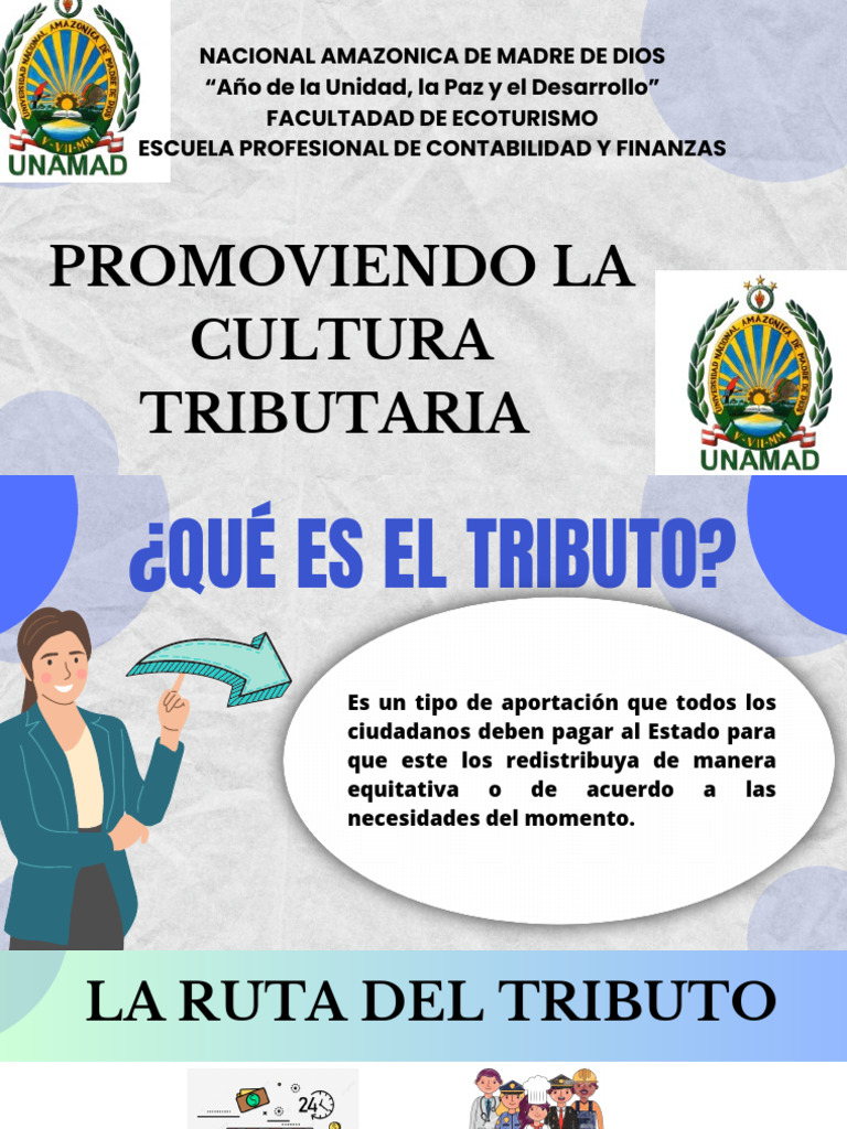 Promoviendo la Cultura Tributaria en Perú | PDF