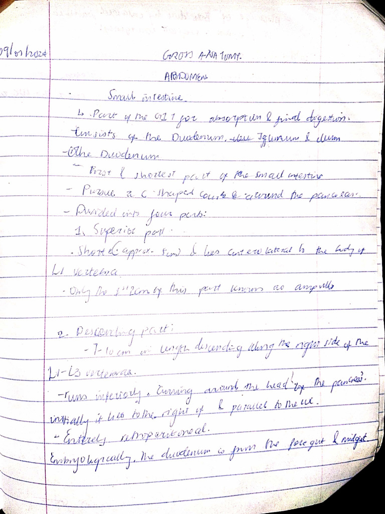 Abdomen, P and P Notes | PDF