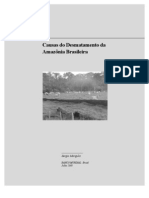 010CausasDesmatamentoAmazoniaBrasileira em 25.02