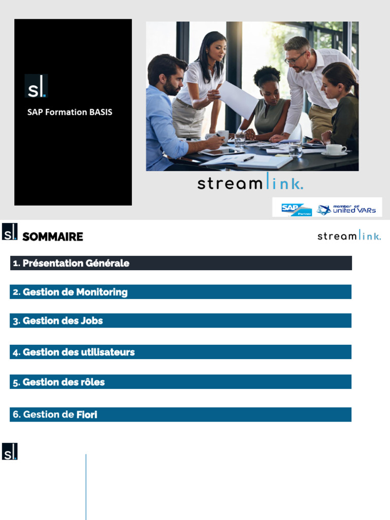 Formation SAP BASIS : Gestion et Monitoring | PDF | Application ...