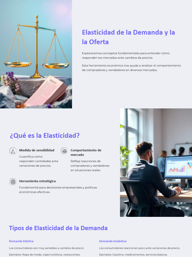 Elasticidad de La Demanda y La Oferta OK | PDF | Elasticidad (economía ...
