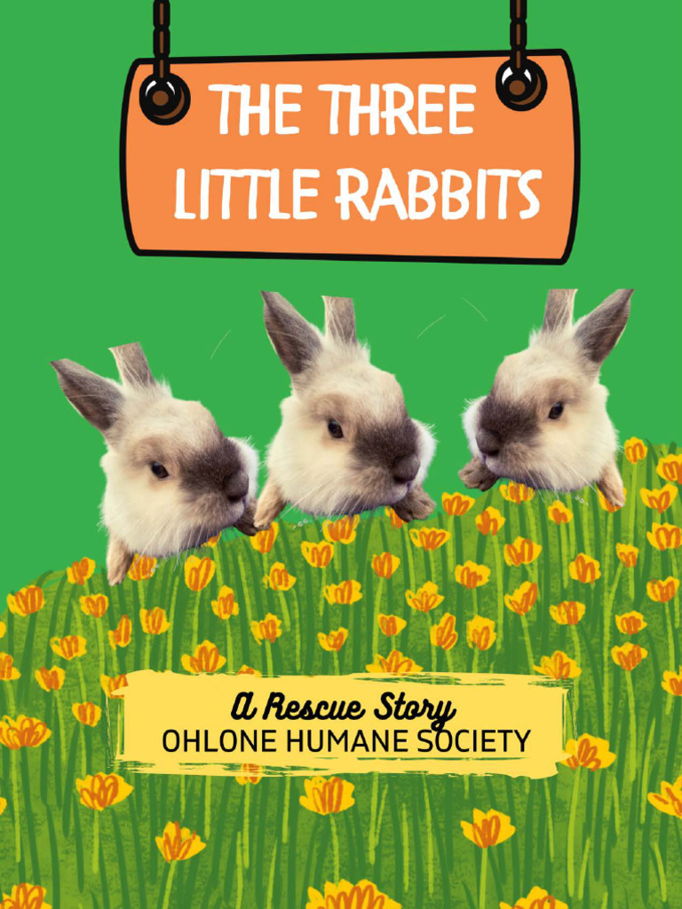 THE THREE LITTLE RABBITS 8 Pages A Rescue Story | PDF