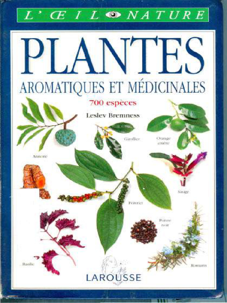 Plante Aromatique 5 Lettresnull