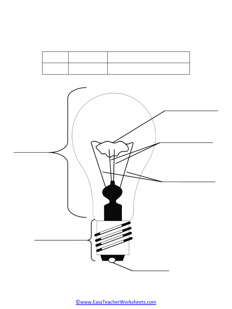 Light Bulb Anatomy Worksheet | PDF