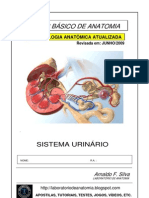 Apostila Anatomia Sistema Urinario