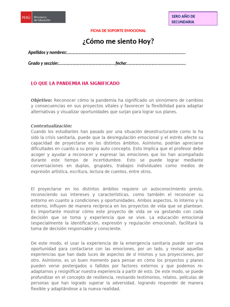Socio Emo C Ional | PDF | Las emociones | Experiencia