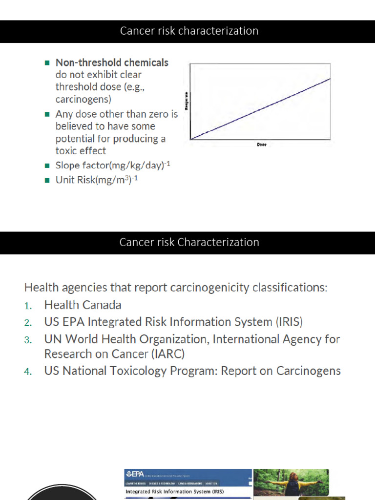 Cancer Risk Assessment and Resources | PDF