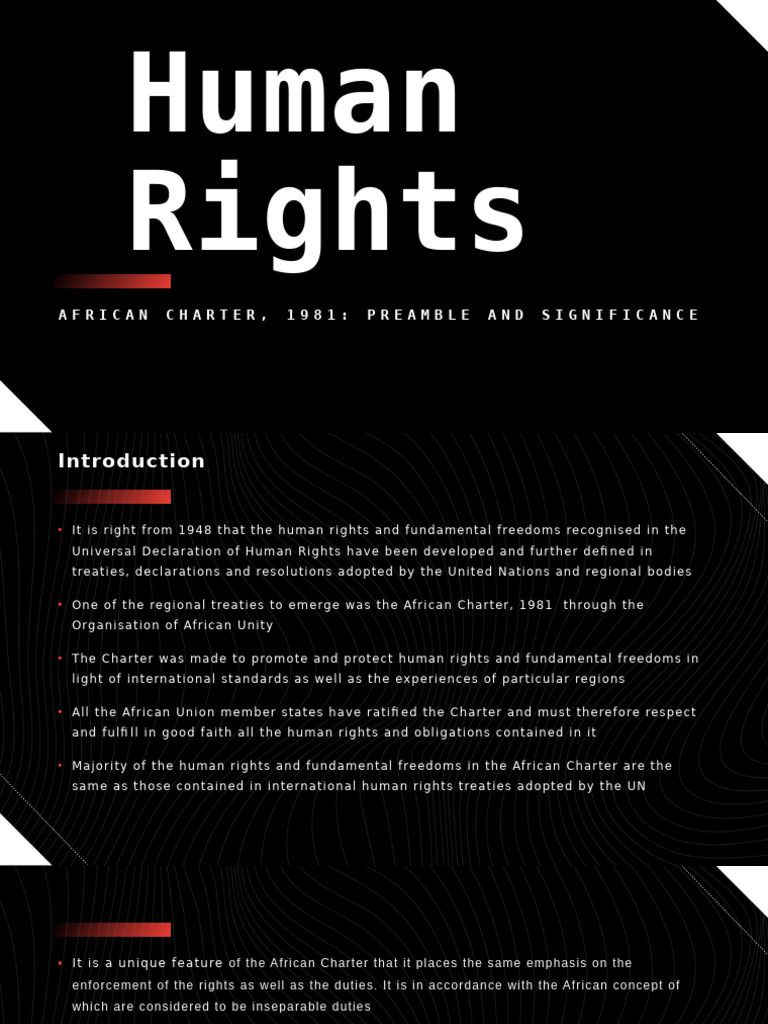 Human Rights | PDF