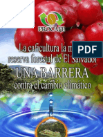 Caficultura Reserva Forestal