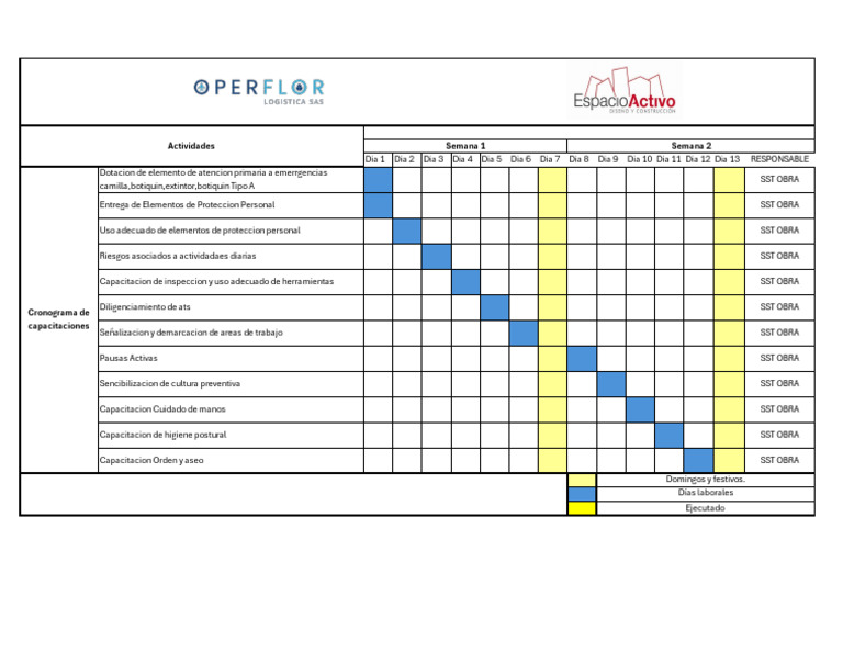 3 - Cronograma de Capacitaciones | PDF | La seguridad | Medicina