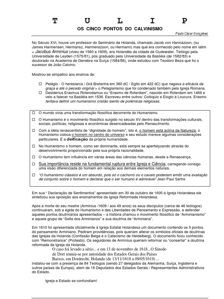 TULIP - Os 5 Pontos Do Calvinismo - O Resumo | PDF | Arminianismo ...