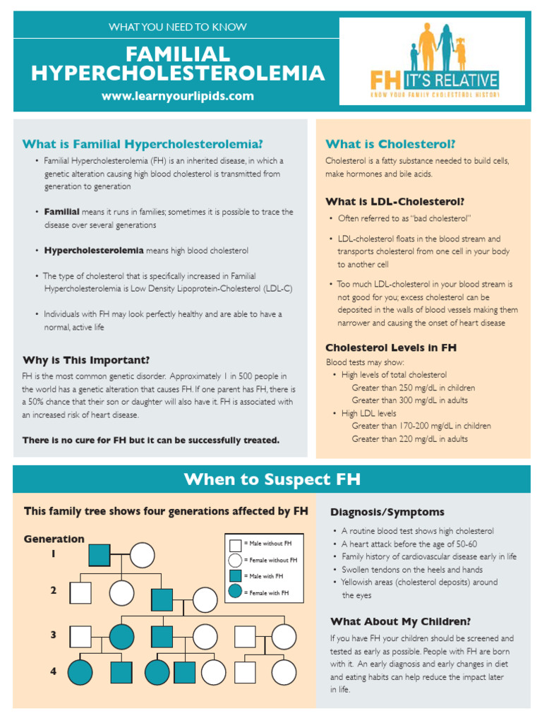 Understanding Familial Hypercholesterolemia | PDF ...