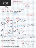 Mushukda har xil ahmoqlik bor