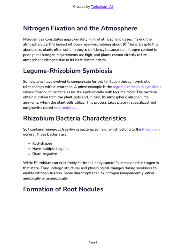 Nitrogen Fixation in Legume-Rhizobium Symbiosis | PDF | Biology | Botany