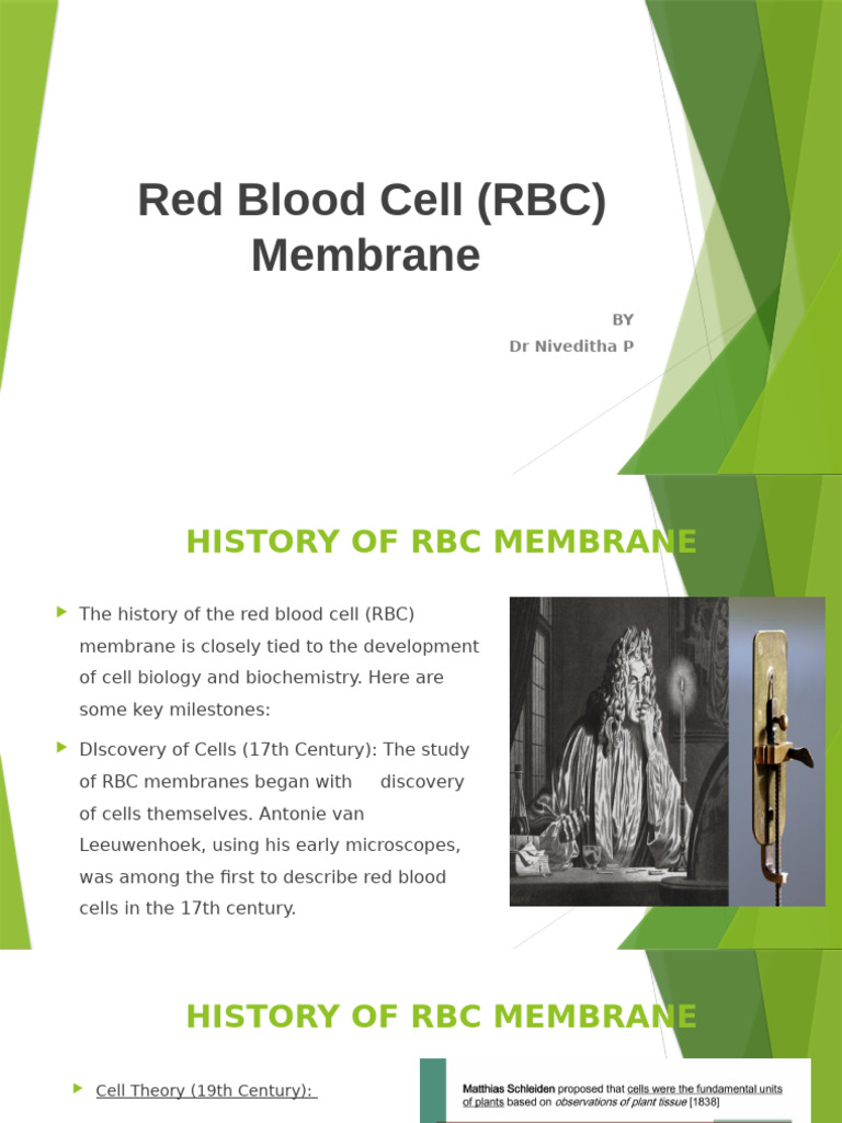 History and Structure of RBC Membrane | PDF | Cell Membrane | Red Blood ...