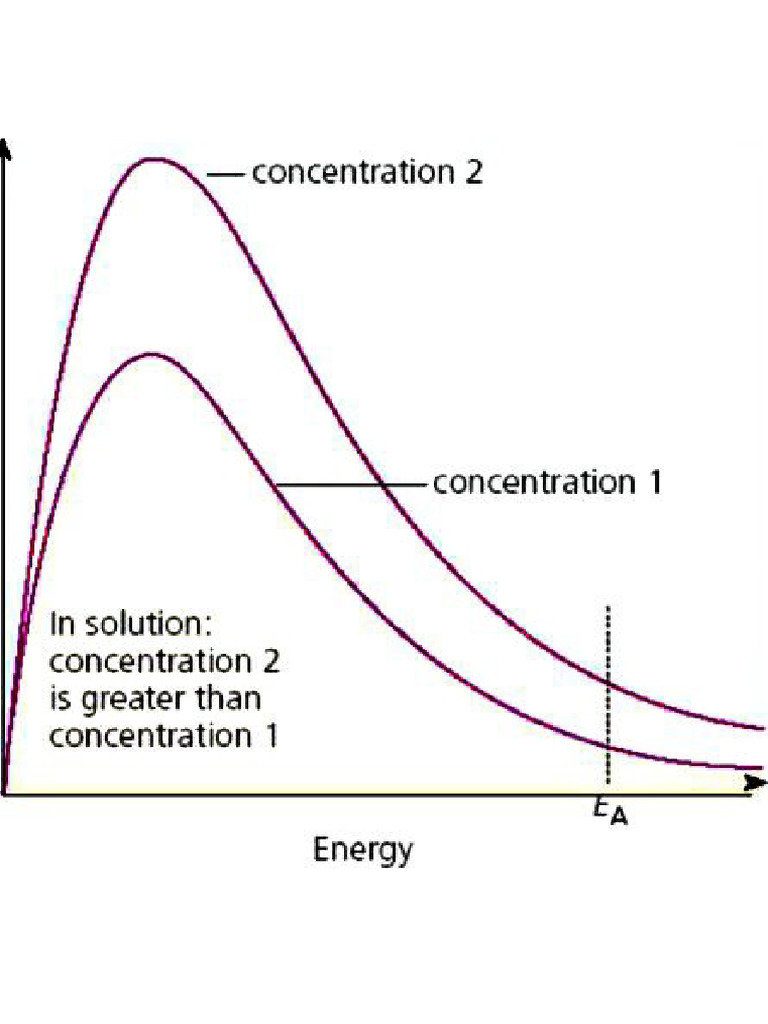 Increase in Concentration | PDF