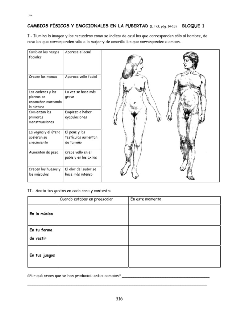Cambios en la Pubertad: Físicos y Emocionales | PDF | Pubertad | La ...
