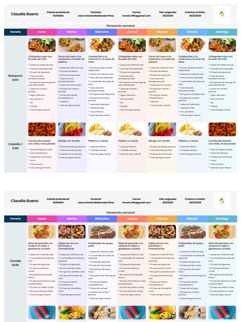 plan__aaron-daniel-maldonado-prez_12-05-2025 | PDF | Maíz | Fruta