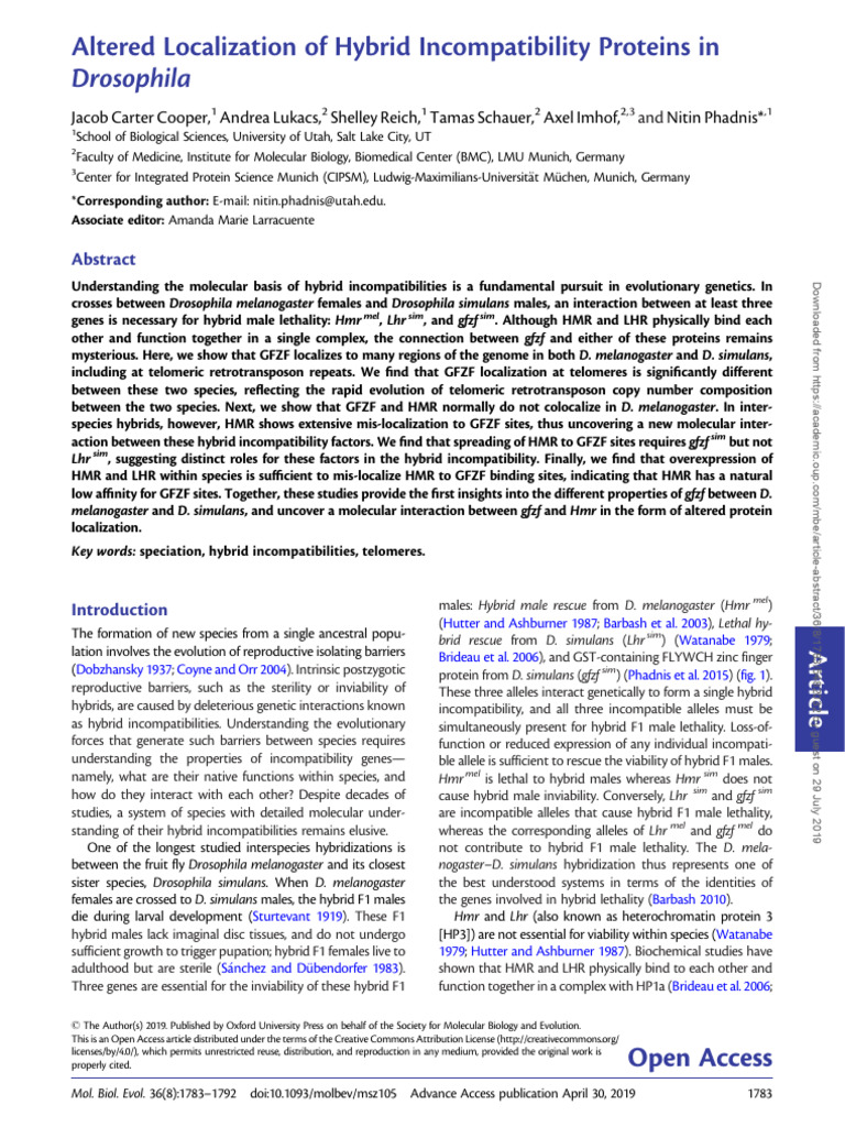 Altered Localization of Hybrid Incompatibility Proteins in Drosophila ...