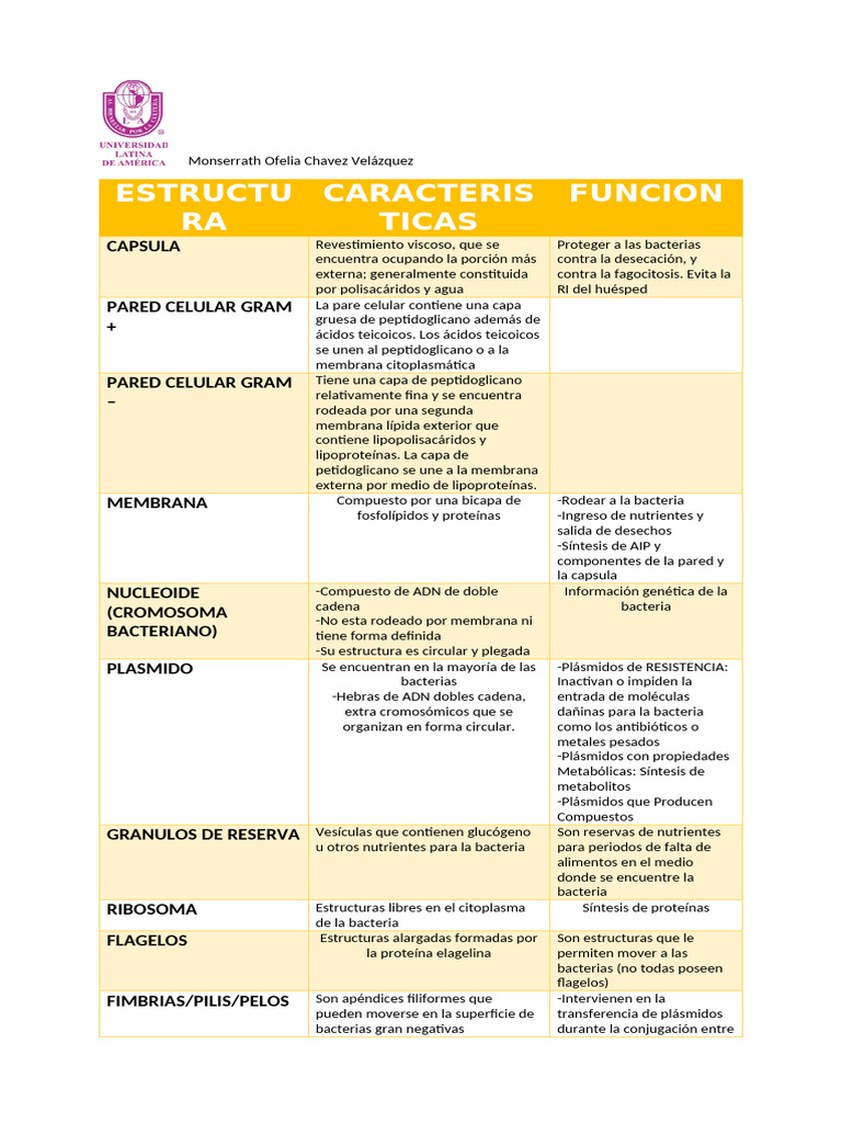 Estructura y Función de Bacterias | PDF | Las bacterias | Membrana celular