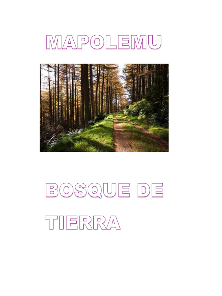 MAPOLEMU | PDF