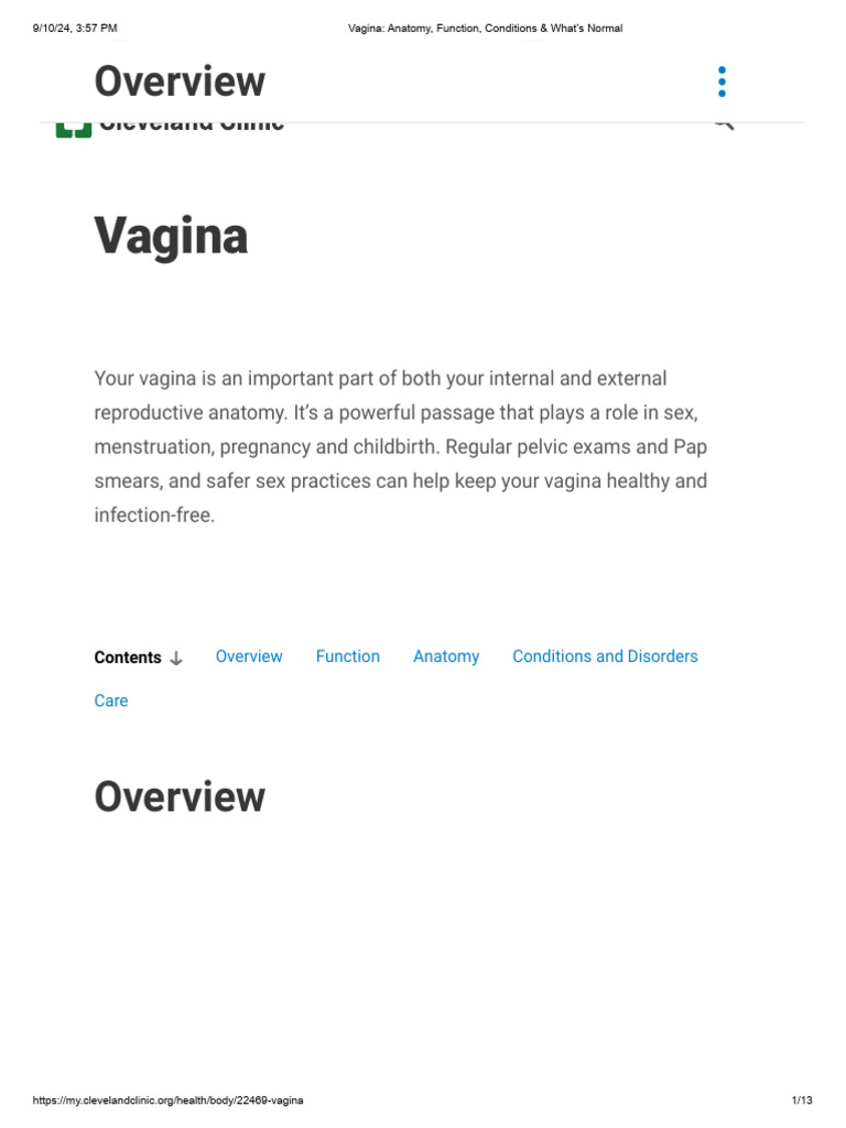 VAGINA ANATOMY FUNCTION AND WHAT S NORMAL visual data 6