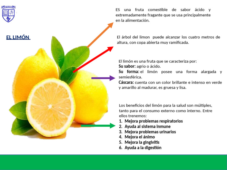 El Limon | PDF