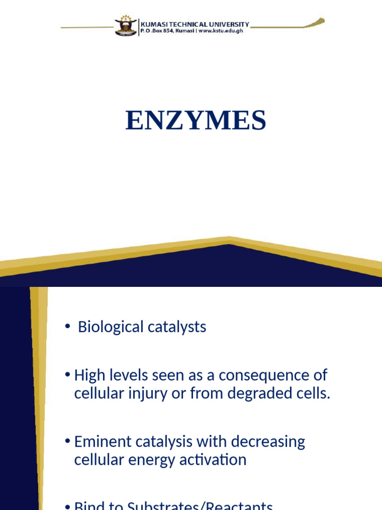 Enzyme Functions and Classifications | PDF | Enzyme | Catalysis