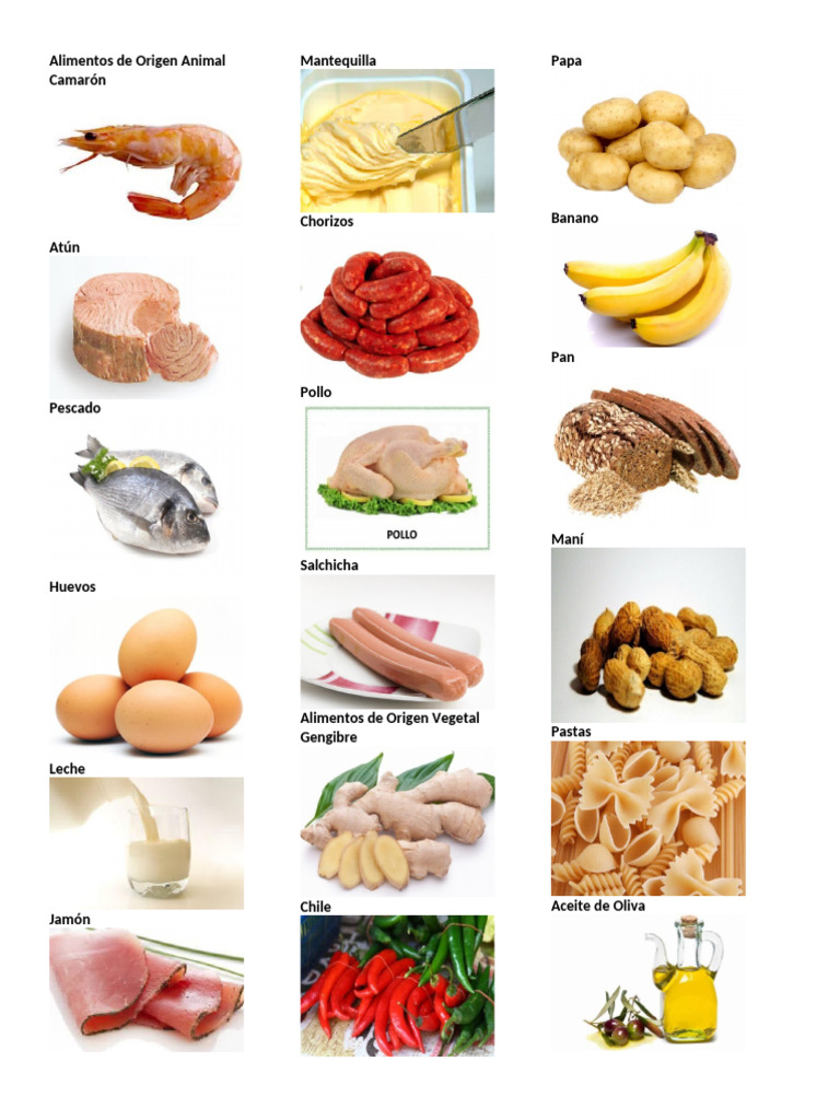 Orígenes de Alimentos: Animal, Vegetal, Mineral | PDF