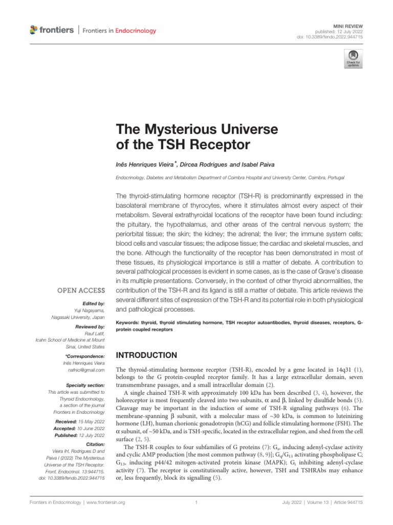 El Universo Del Receptor de TSH | PDF | Thyroid Stimulating Hormone ...