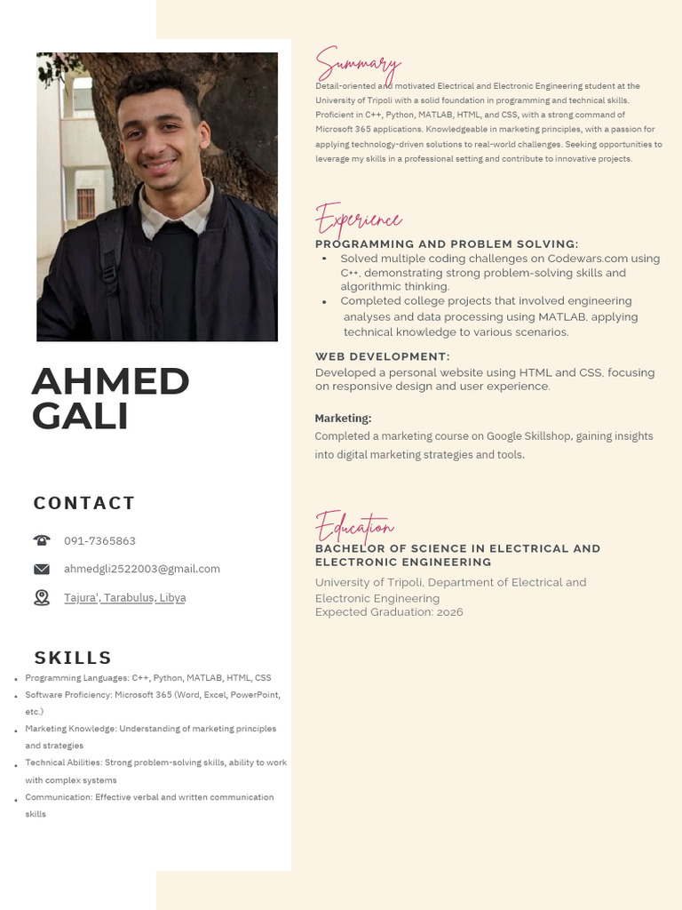 Electrical Engineering Student Profile | PDF | Computer Programming ...