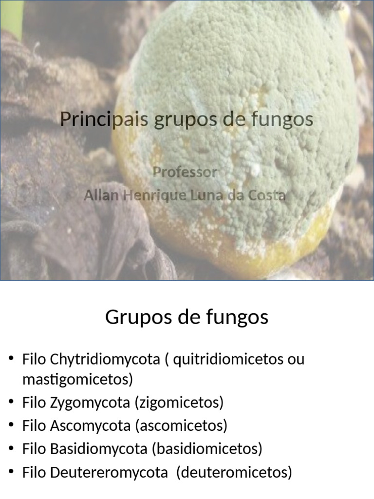 These stinkbugs coat their eggs in fungi to protect them from parasitic  wasps | Science | AAAS, image size:768x1024