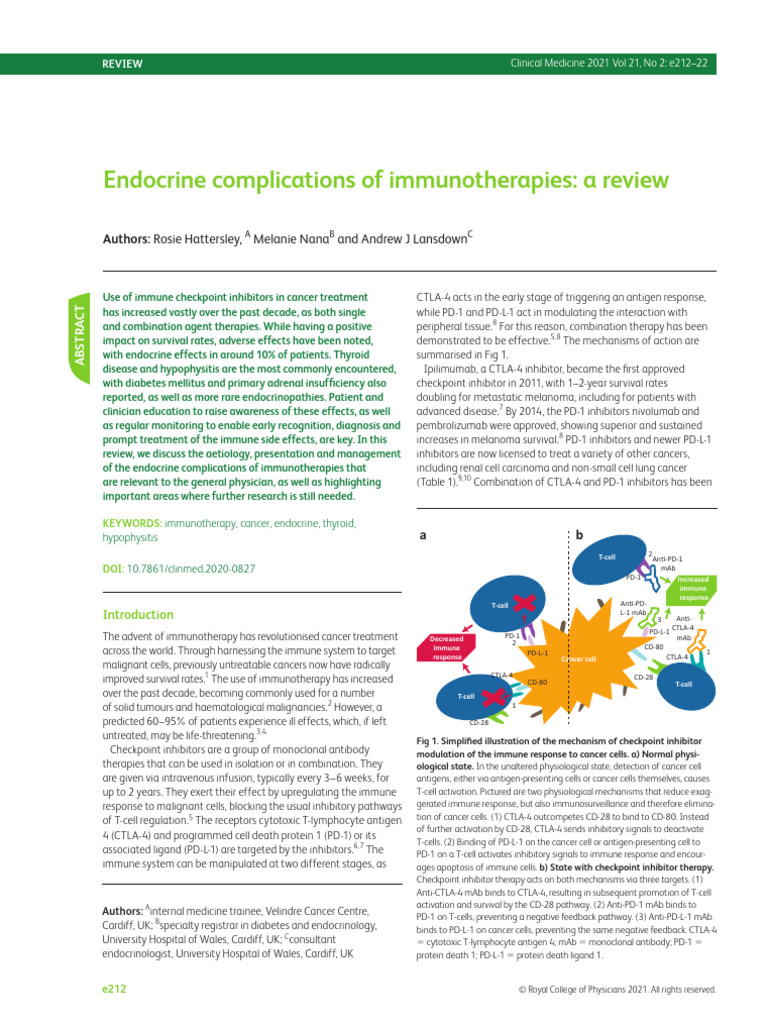 2024 Endocrine Complications of Immunotherapies A Review | PDF ...