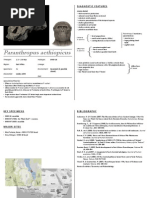 Download Paranthropus Aethiopicus - Cheatsheet by Noelle Tankard SN87499391 doc pdf