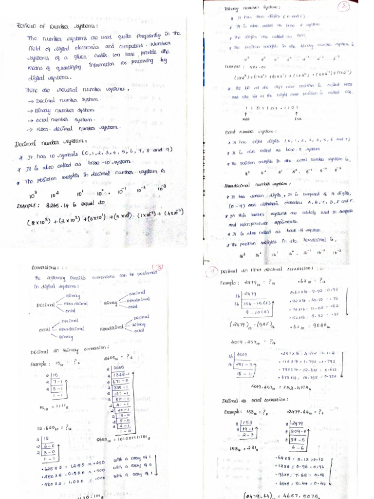 Bee Unit 4 | PDF