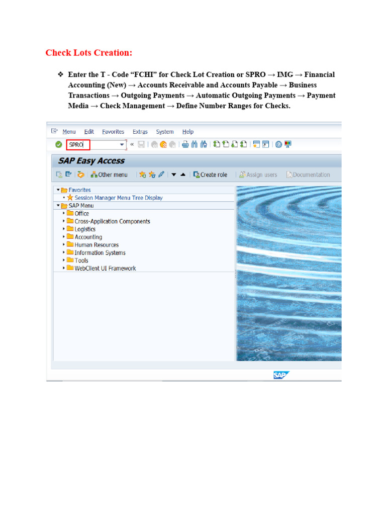 Check Lot Creation in SAP Guide | PDF