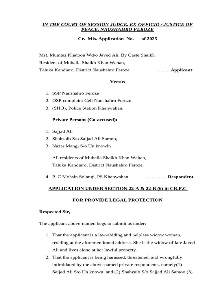 Legal Protection Application for Widow | PDF | Public Law | Criminal ...