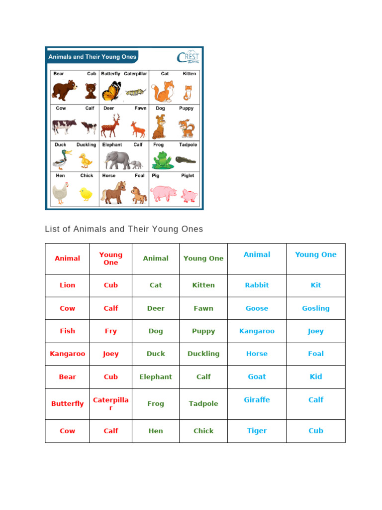List of Animals and Their Young Ones | PDF | Nest | Chicken
