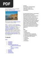 Download Clay by Syamsiyah Binti Abdullah SN87504413 doc pdf