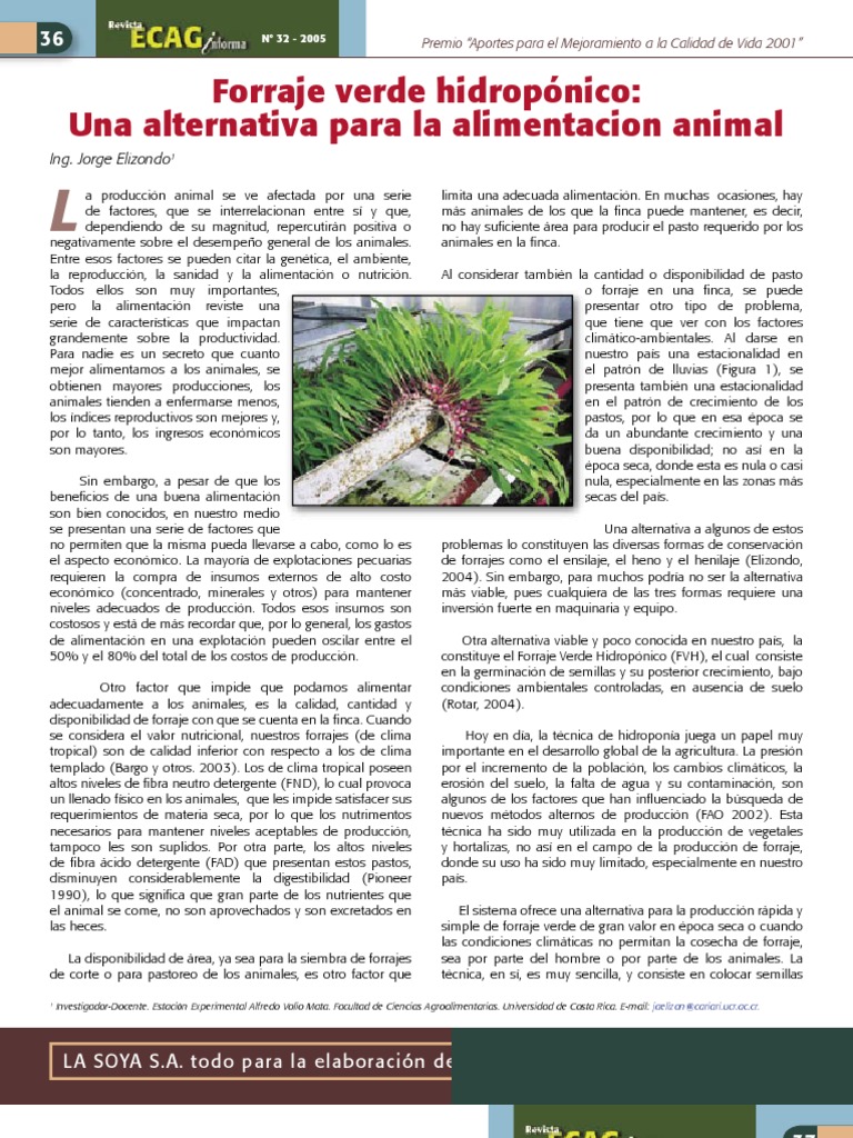 Forraje Verde Hidropónico Pdf Tesis