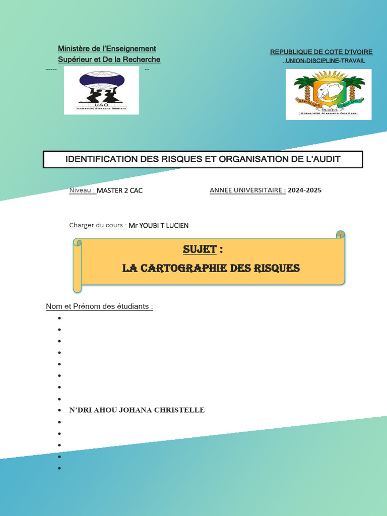 Cartographie des Risques en Audit | PDF | Risque | Gestion des risques