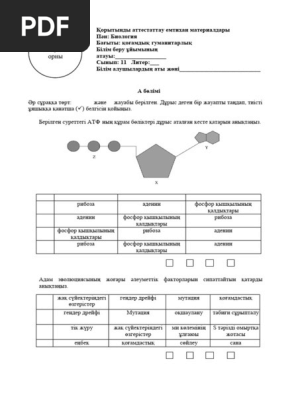 Осетиядағы студенттік секс