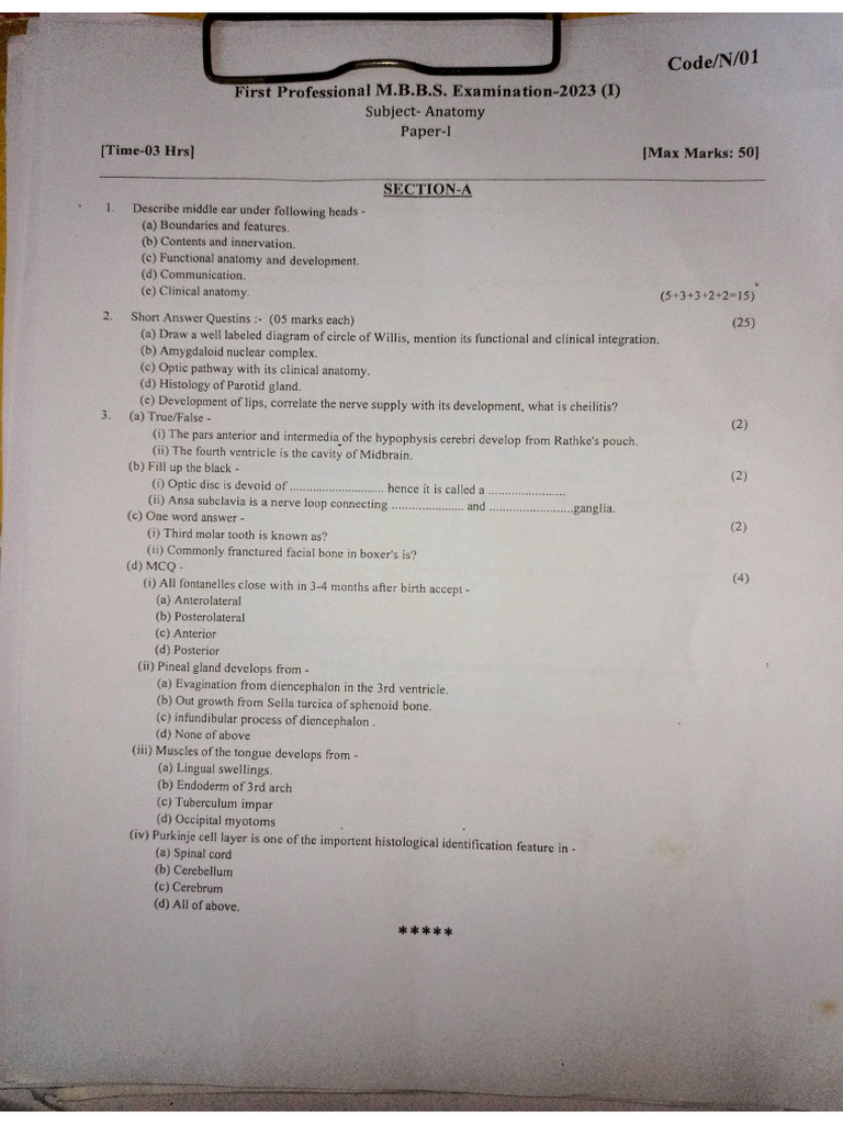 University 22 Batch | PDF
