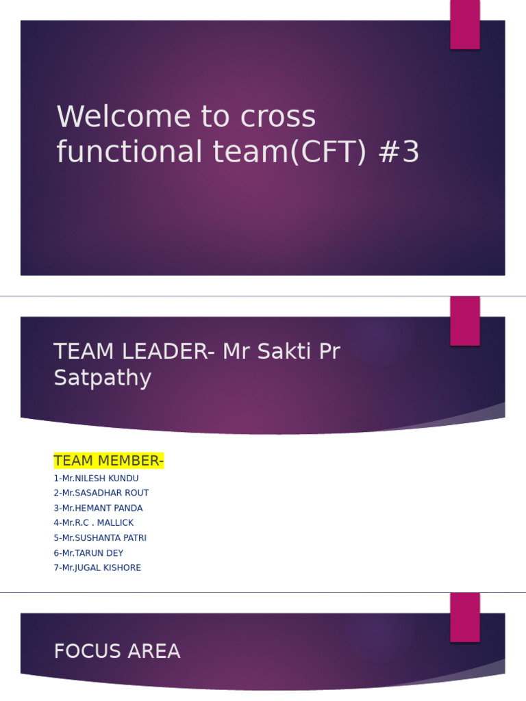 Cross-Functional Team Audit Report | PDF