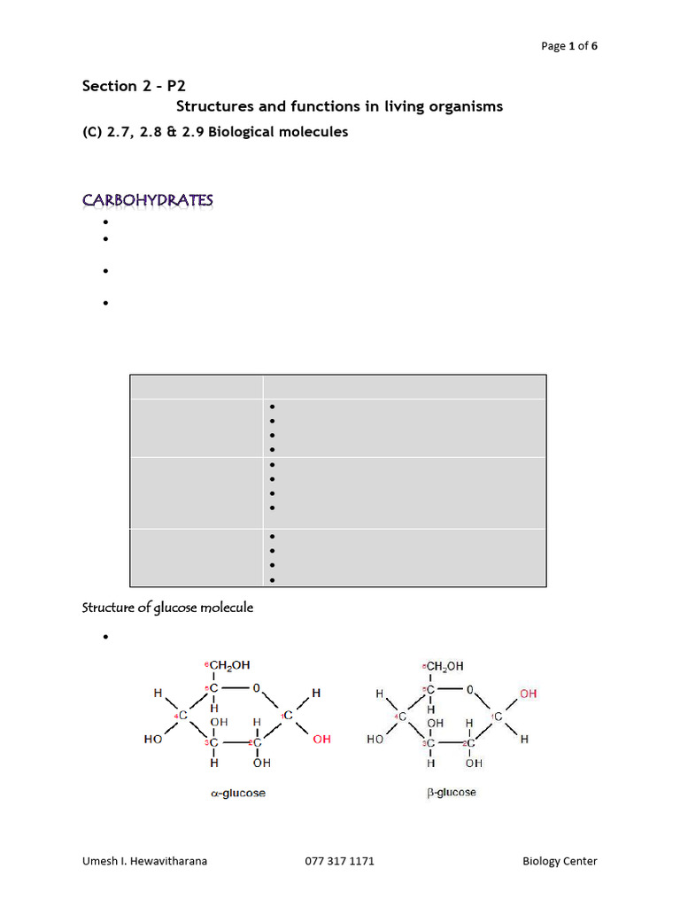 Understanding Biological Molecules and Enzymes | PDF | Carbohydrates ...