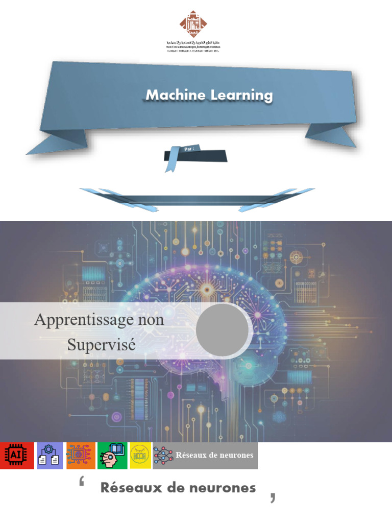 Introduction aux Réseaux de Neurones | PDF | Neurone | Système nerveux