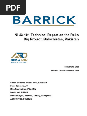 Reko Diq Project Technical Report 2025 | PDF | Mining | Risk